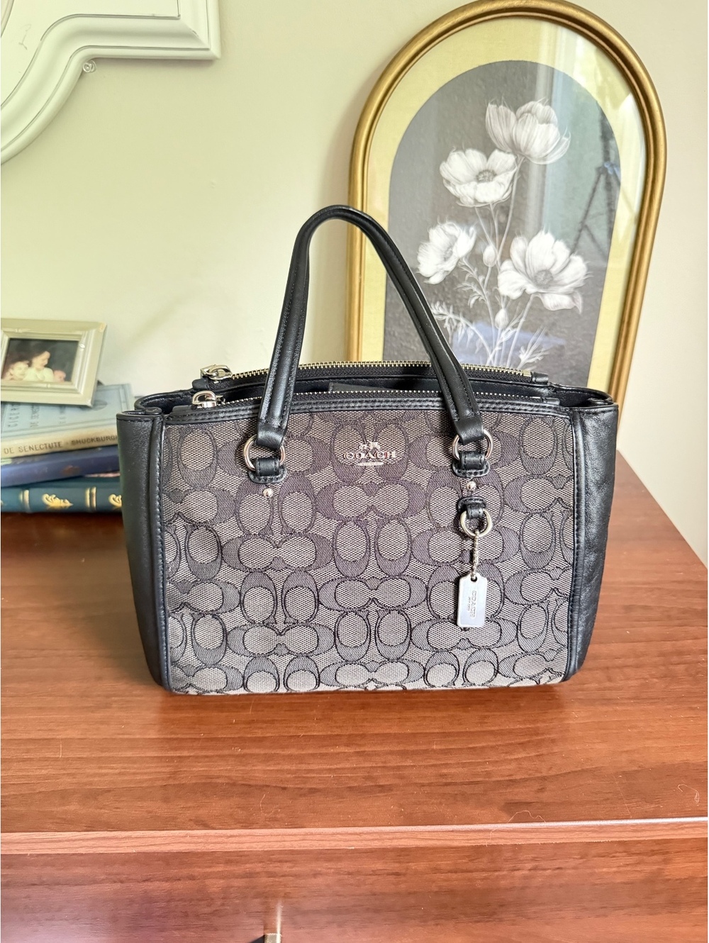 Coach Stanton Bag